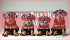 rottweiler pitbull mix size and weight