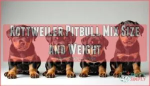 rottweiler pitbull mix size and weight