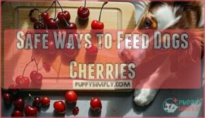 safe ways to feed dogs cherries