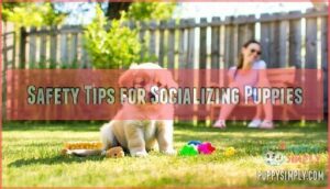 safety tips for socializing puppies