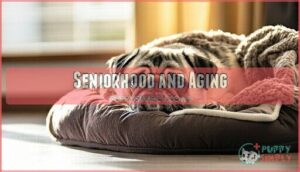 seniorhood and aging