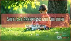shetland sheepdogs and children