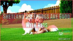 shetland sheepdogs are good with kids