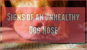 signs of an unhealthy dog nose
