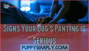 signs your dog’s panting is serious