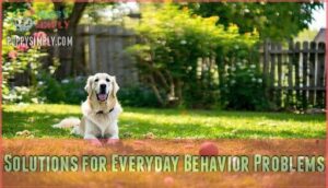 solutions for everyday behavior problems