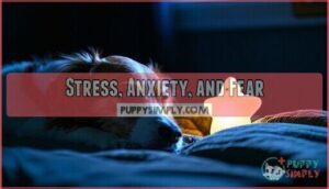 stress, anxiety, and fear