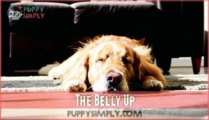 the belly up