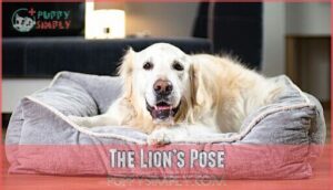 the lion’s pose