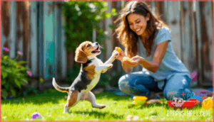training and handling beagles