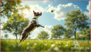 training and socialization requirements