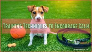 training techniques to encourage calm