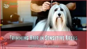 trimming hair in sensitive areas