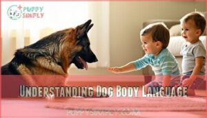 understanding dog body language