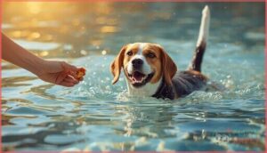 using positive reinforcement