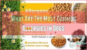 what are the most common allergies in dogs