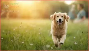 what are the potential benefits of cbd for dogs