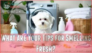 what are your tips for smelling fresh