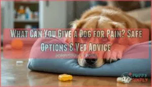 what can you give a dog for pain