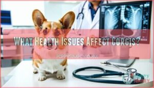 what health issues affect corgis