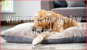 what helps stop dog paw licking