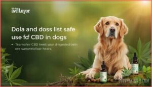 what legal issues affect cbd use in dogs what legal issues affect cbd use in dogs