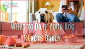 what to do if your dog reacts badly