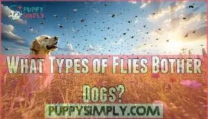 what types of flies bother dogs