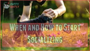 when and how to start socializing