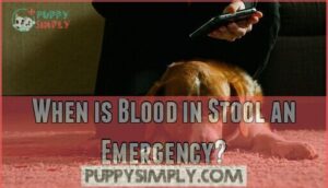 when is blood in stool an emergency