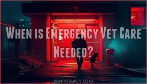 when is emergency vet care needed