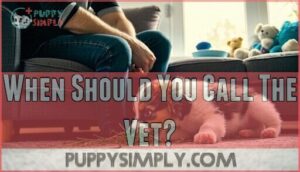 when should you call the vet