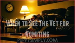 when to see the vet for vomiting