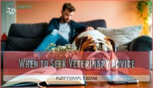 when to seek veterinary advice