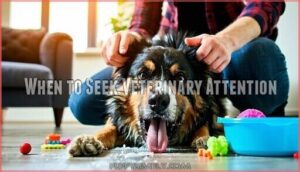 when to seek veterinary attention
