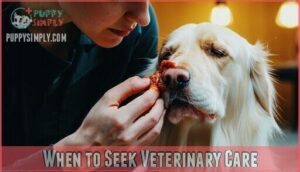 when to seek veterinary care