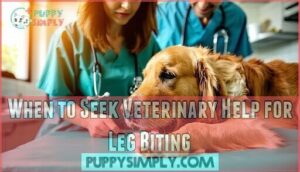 when to seek veterinary help for leg biting