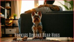 yorkies dislike bear hugs