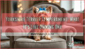 yorkshire terrier temperament whats it like owning one