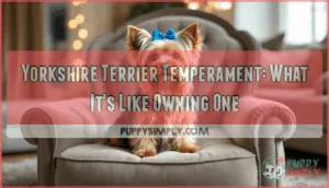 yorkshire terrier temperament whats it like owning one