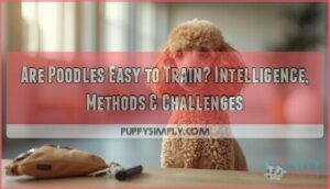 are poodles easy to train