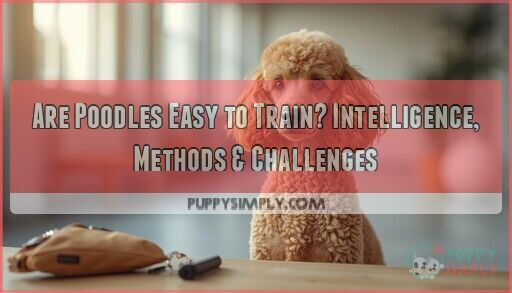 Are Poodles Easy to Train? Intelligence Methods Challenges