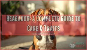 beagle labrador mixes beagador a complete guide