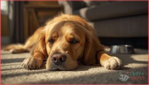 behavioral changes linked to allergies behavioral changes linked to allergies