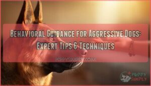 behavioral guidance aggressive dogs
