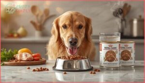 benefits of wet dog food for hydration