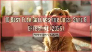 best flea collars for dogs