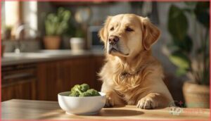 can broccoli cause digestive issues in dogs