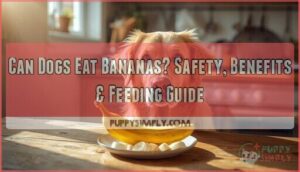 can dogs eat bananas can dogs eat bananas