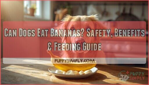 Curated visual reference: Benefits Of Feeding Bananas To Dogs With Arthritis Reference: Can Dogs Eat Bananas Safety Benefits Feeding Guide
